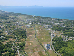 本社航空写真